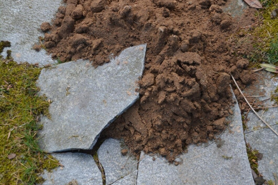 Soil Stabilization in The Villages, FL (6)